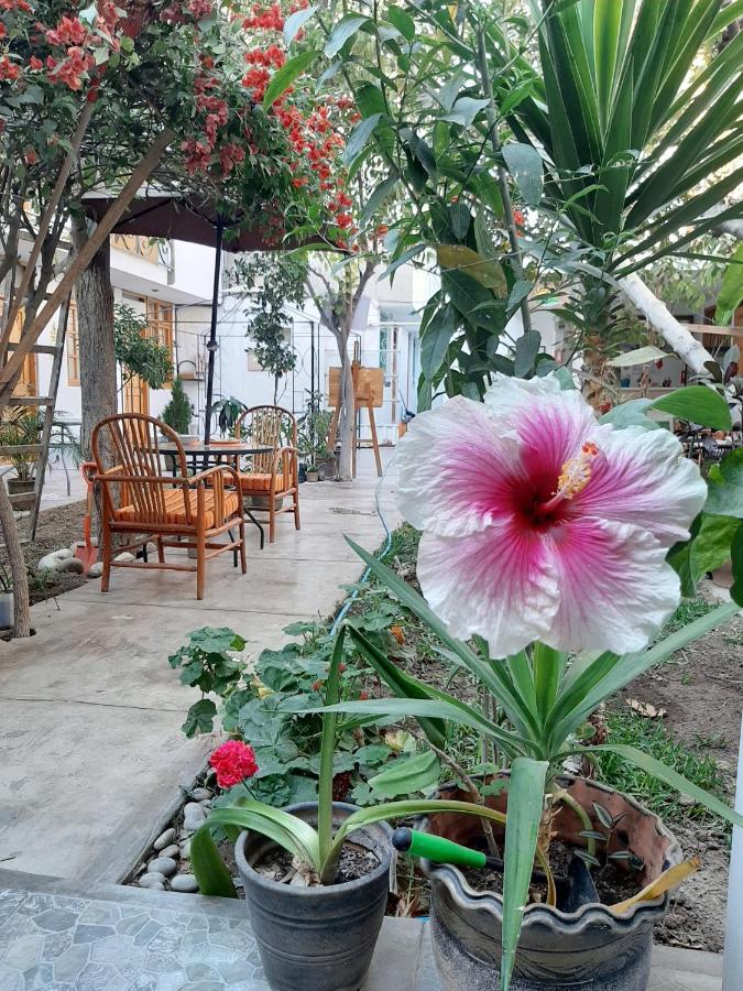 El Huerto Hostel อิกา ภายนอก รูปภาพ