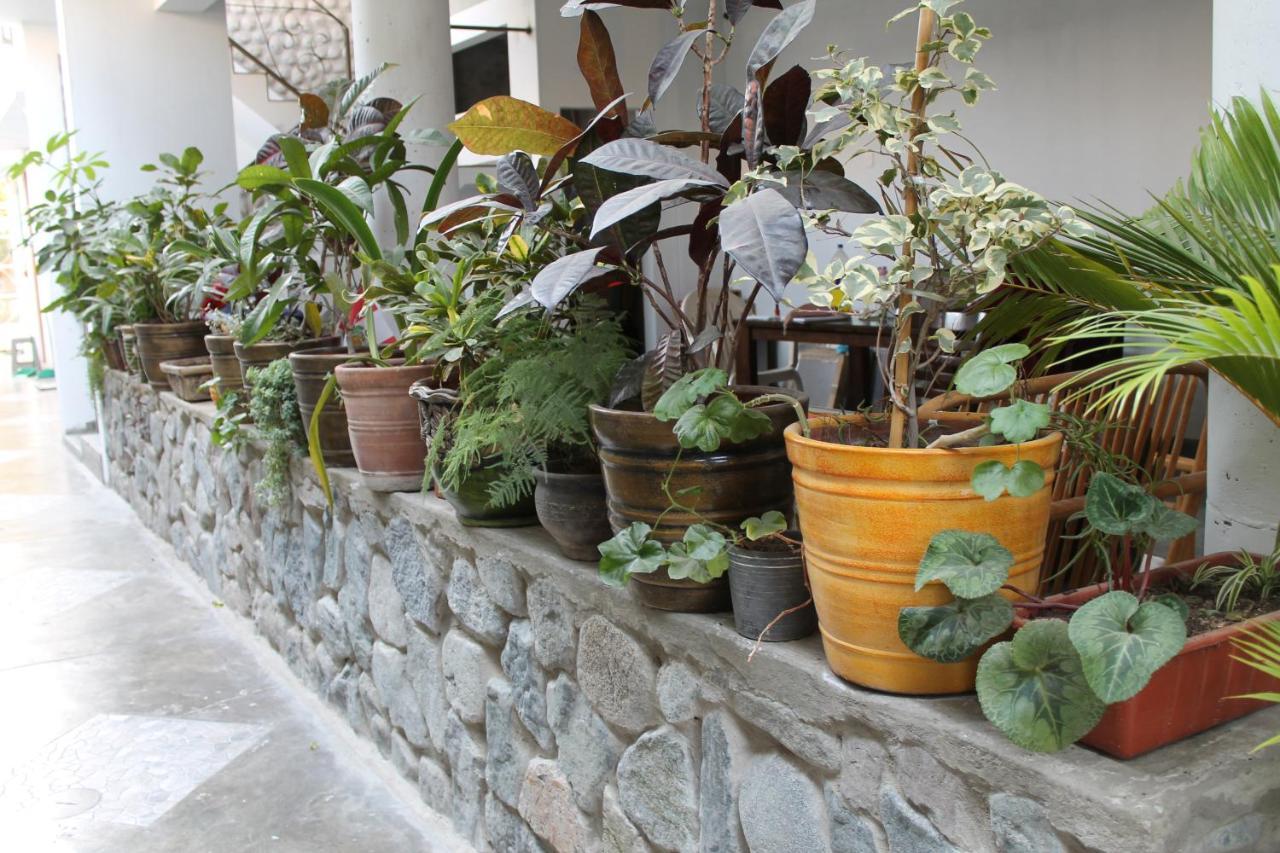 El Huerto Hostel อิกา ภายนอก รูปภาพ